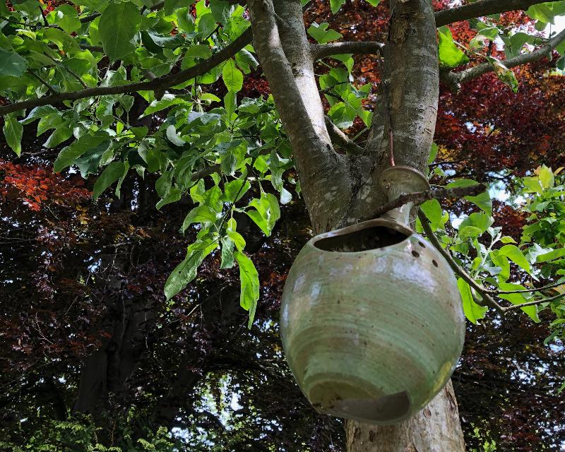 Accueil de la faune