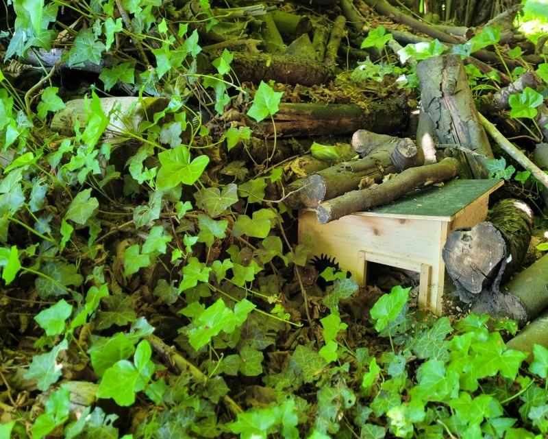 Accueil de la faune