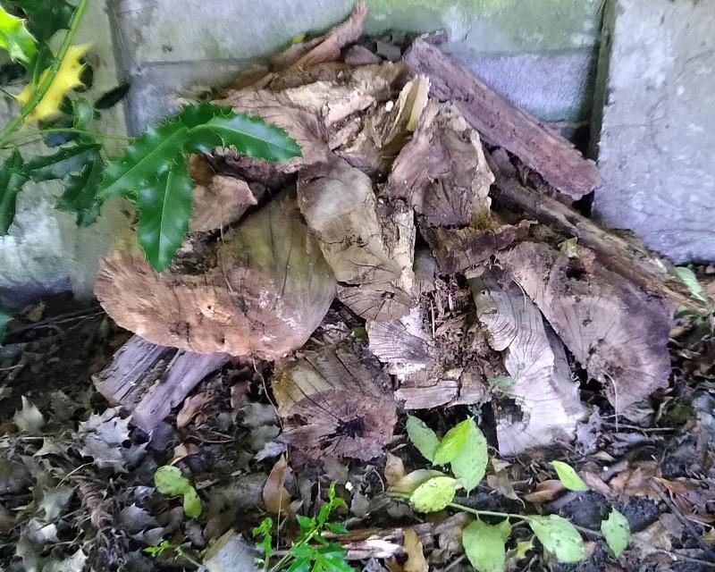 Accueil de la faune