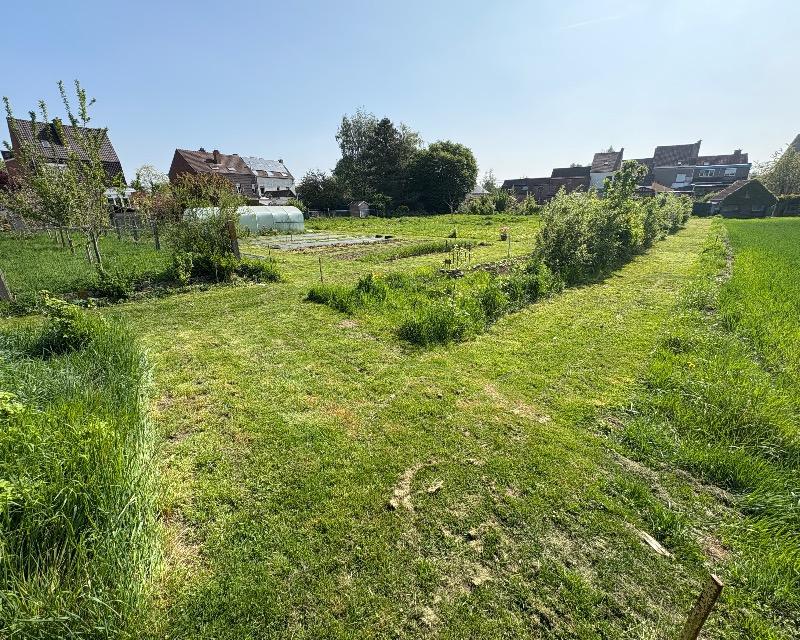 Milieux ligneux