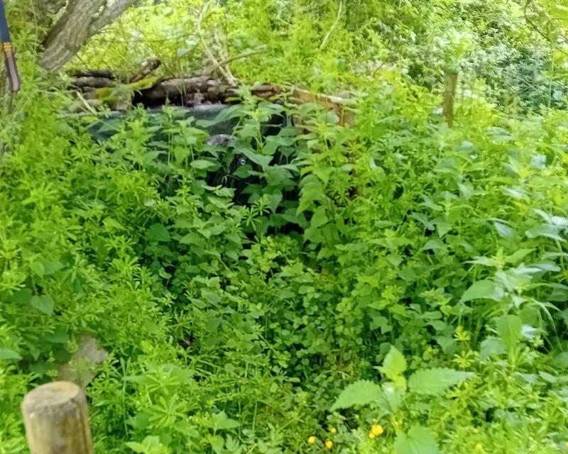 Accueil de la faune