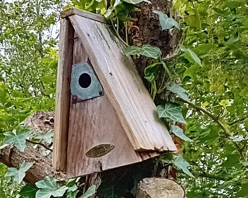 Accueil de la faune
