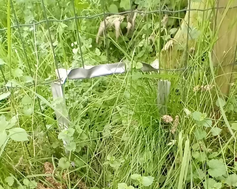 Accueil de la faune