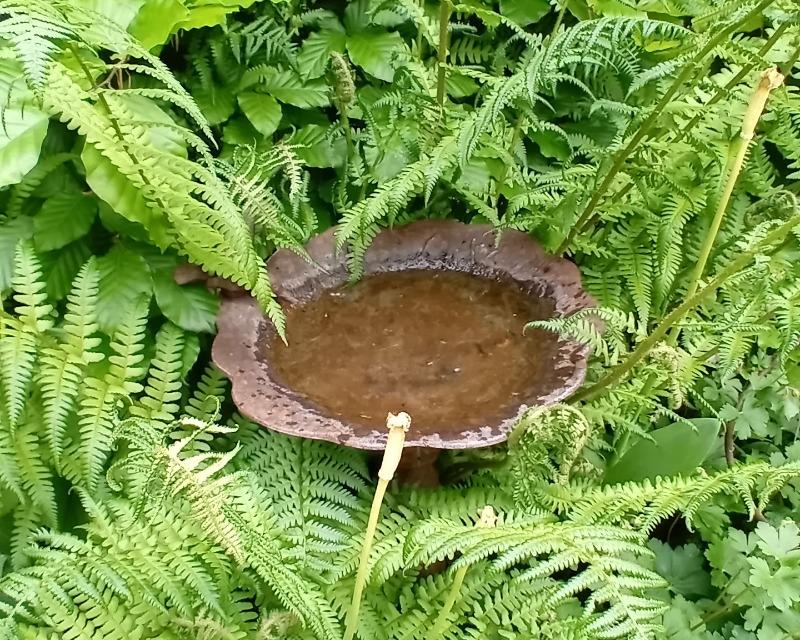 Accueil de la faune