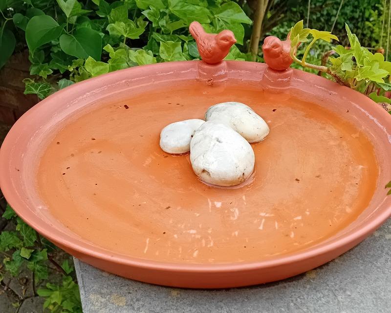 Accueil de la faune