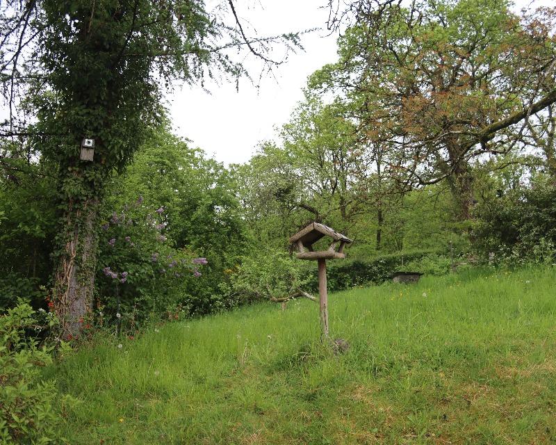 Accueil de la faune