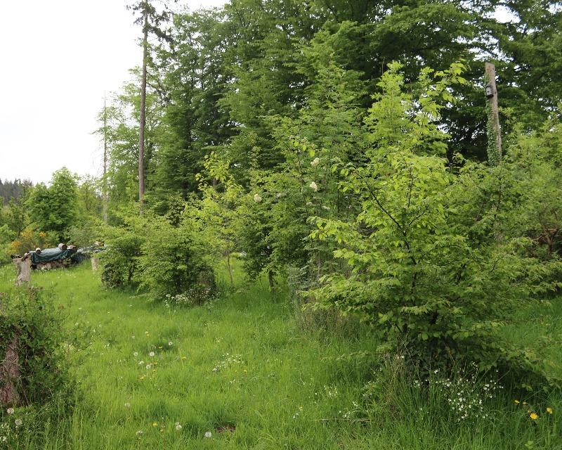 20260503_151139_nat-rn-terrain-595_photo_IMG_8789.jpg