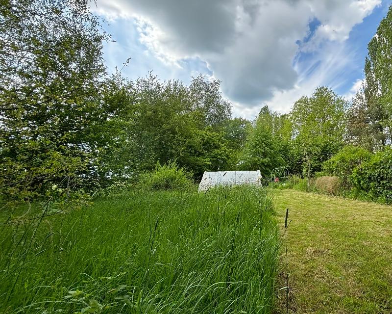 Milieux herbacés