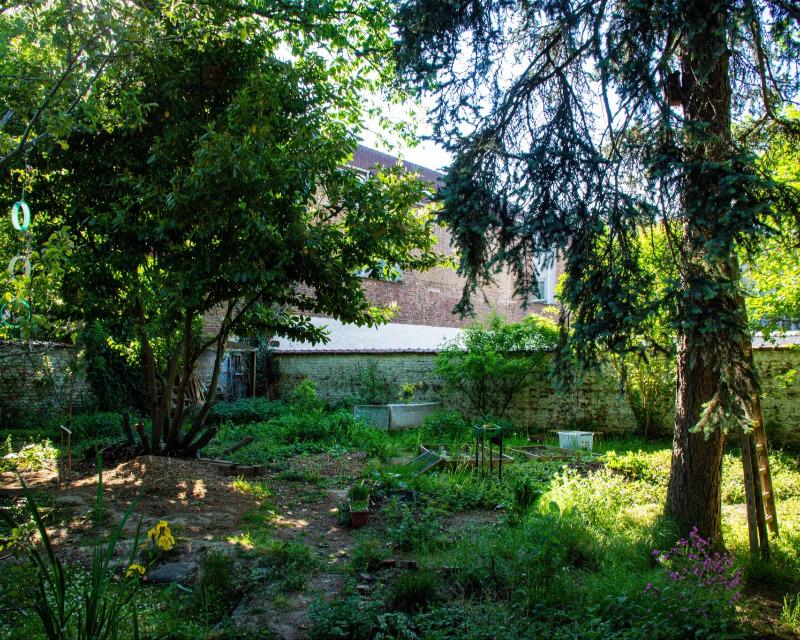 20260505_061830_nat-rn-terrain-613_photo_un-jardin-à-scheut-02.jpg