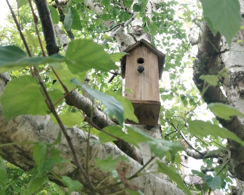 Accueil de la faune