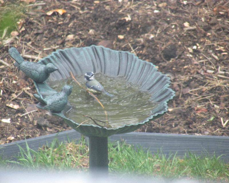Accueil de la faune
