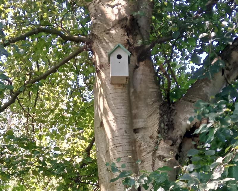 Accueil de la faune