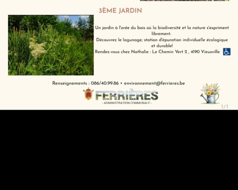 Visites phytoepuration et divers