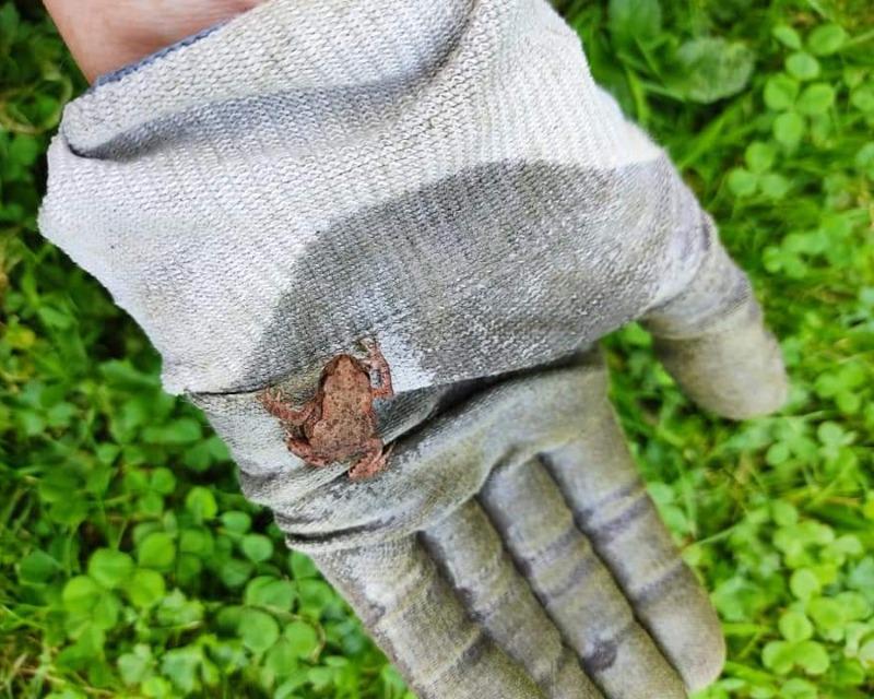 Milieux humides