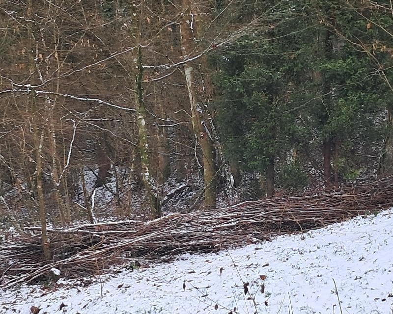 Accueil de la faune