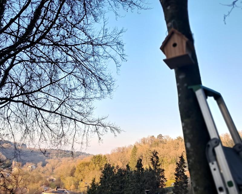 Accueil de la faune