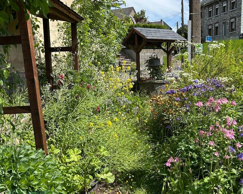 20250701_153436_nat-rn-terrain-800_photo_Jardin.jpg