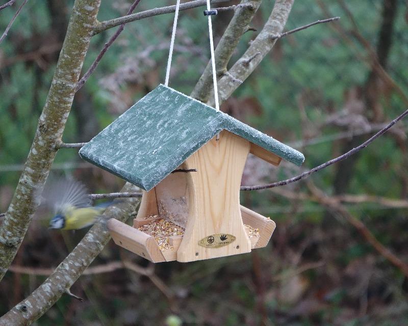 Accueil de la faune
